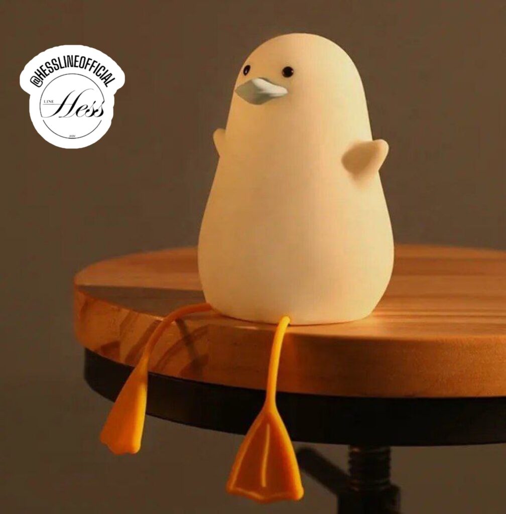 چراغ خواب شارژی اردک